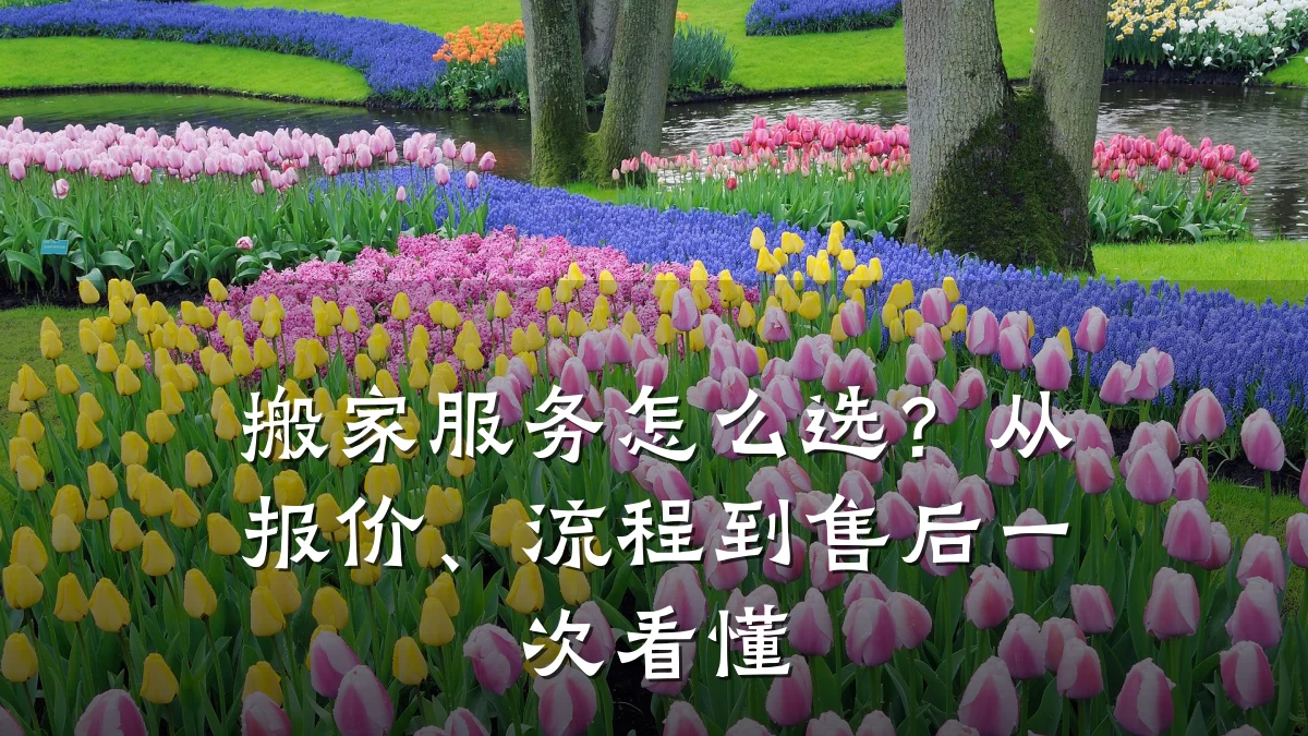 搬家服务怎么选?从报价、流程到售后一次看懂