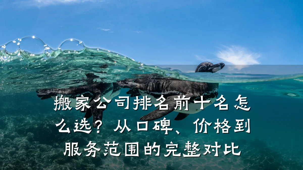 搬家公司排名前十名怎么选？从口碑、价格到服务范围的完整对比