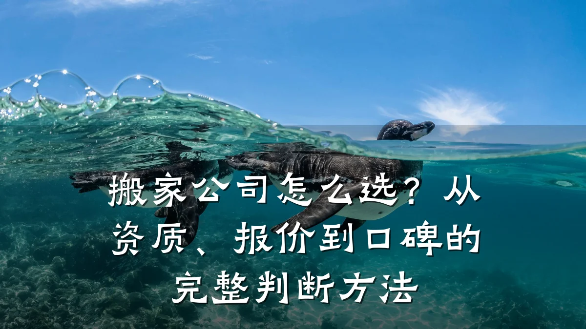 搬家公司怎么选?从资质、报价到口碑的完整判断方法