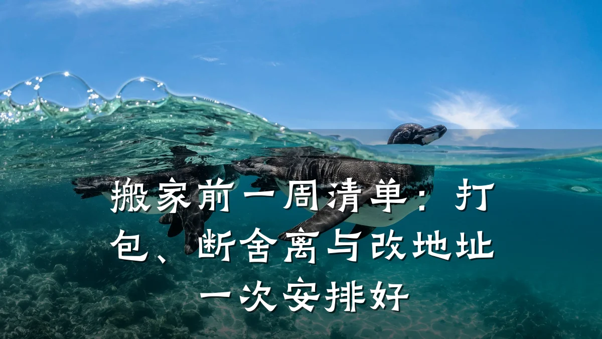 搬家前一周清单:打包、断舍离与改地址一次安排好