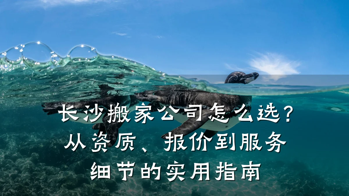 长沙搬家公司怎么选？从资质、报价到服务细节的实用指南