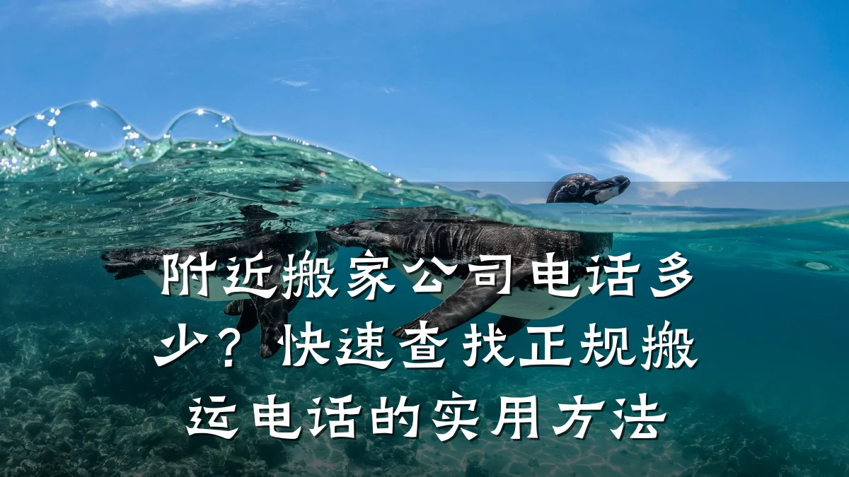 附近搬家公司电话多少？快速查找正规搬运电话的实用方法