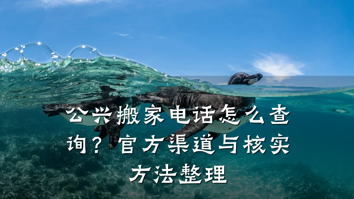 公兴搬家电话怎么查询？官方渠道与核实方法整理