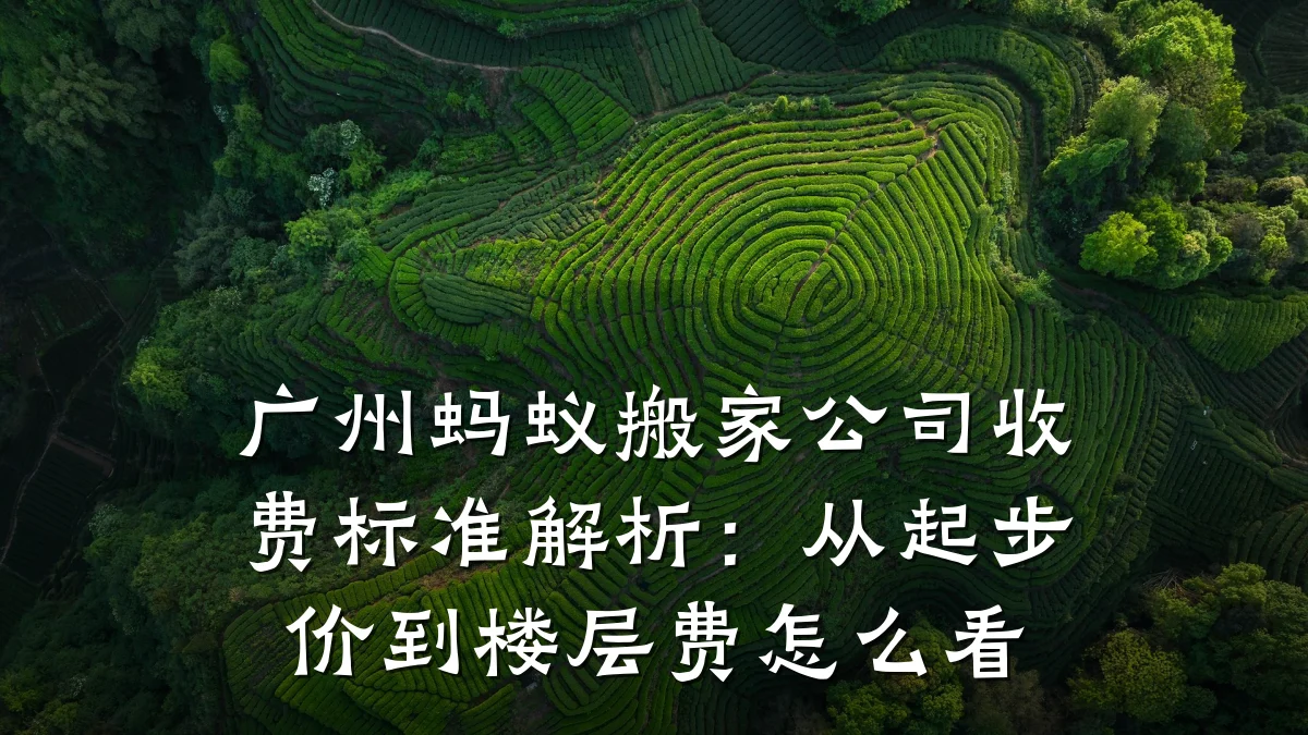 广州蚂蚁搬家公司收费标准解析：从起步价到楼层费怎么看