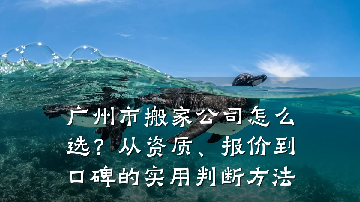 广州市搬家公司怎么选？从资质、报价到口碑的实用判断方法