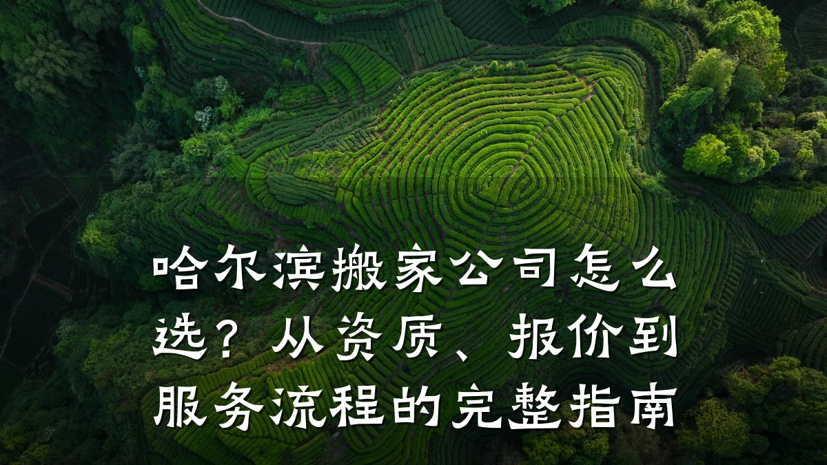 哈尔滨搬家公司怎么选？从资质、报价到服务流程的完整指南