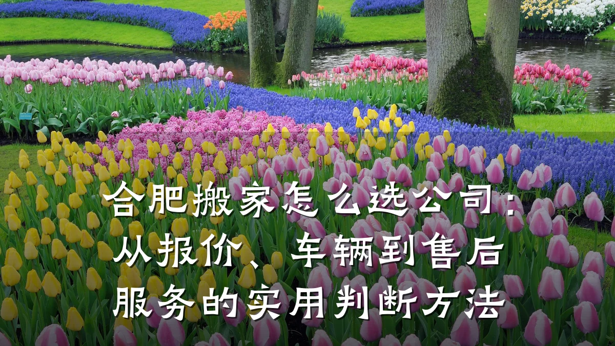 合肥搬家怎么选公司:从报价、车辆到售后服务的实用判断方法