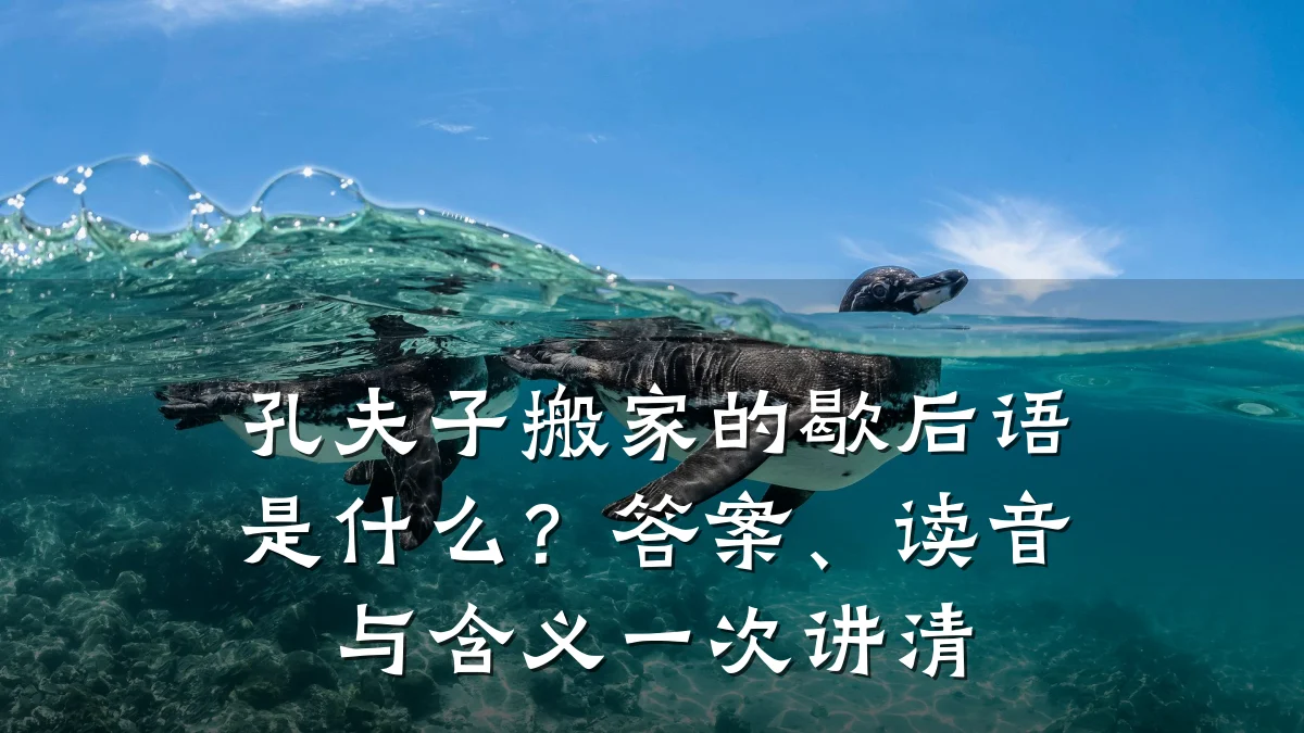 孔夫子搬家的歇后语是什么?答案、读音与含义一次讲清