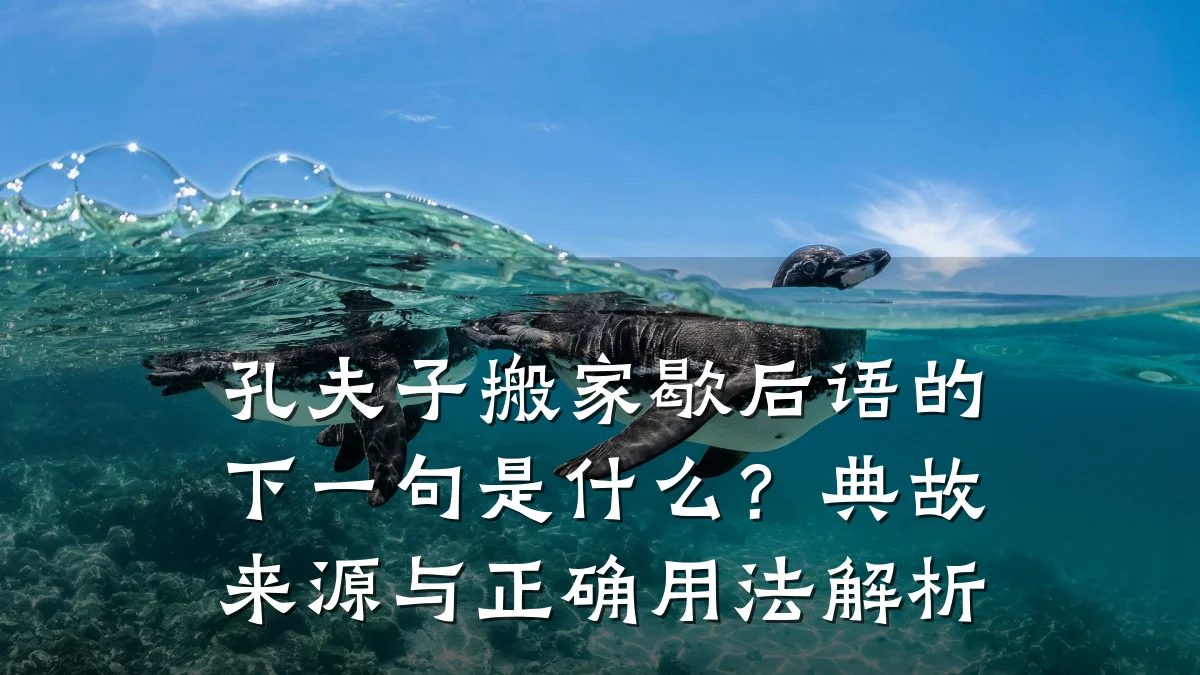 孔夫子搬家歇后语的下一句是什么?典故来源与正确用法解析