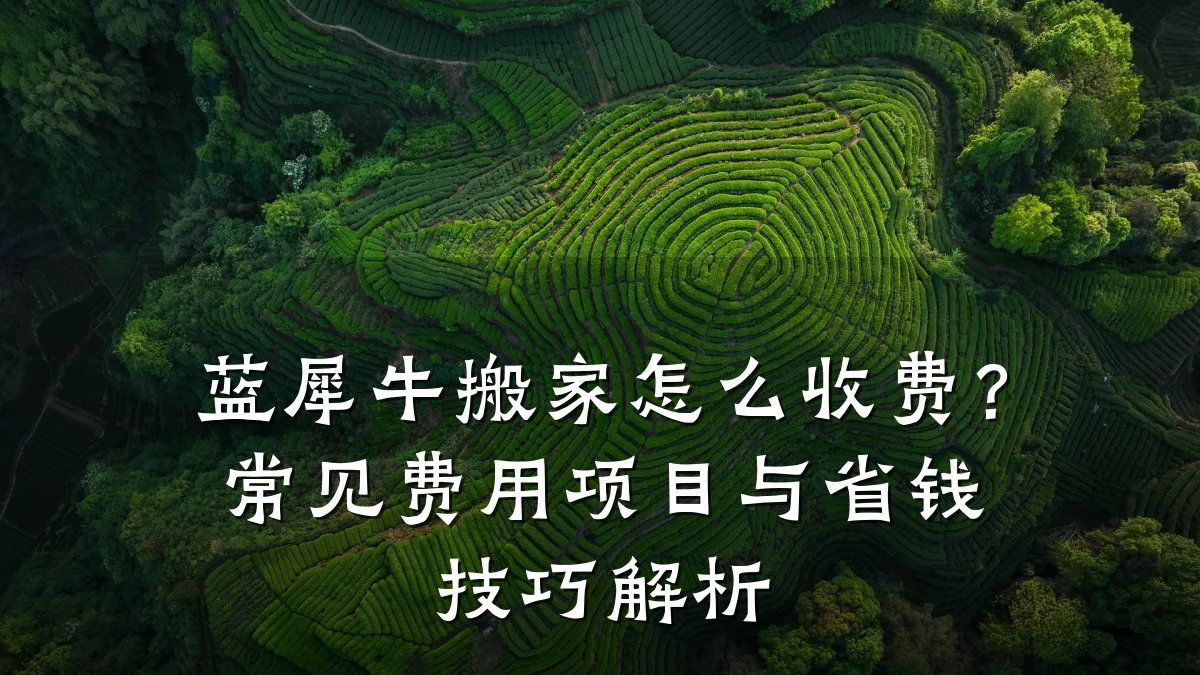 蓝犀牛搬家怎么收费？常见费用项目与省钱技巧解析