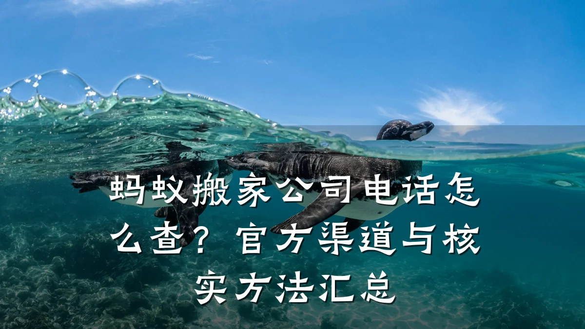 蚂蚁搬家公司电话怎么查？官方渠道与核实方法汇总