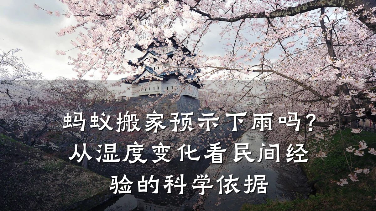 蚂蚁搬家预示下雨吗？从湿度变化看民间经验的科学依据