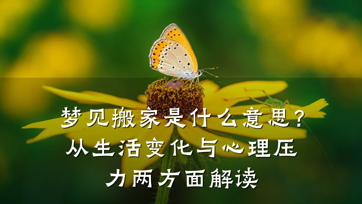 梦见搬家是什么意思？从生活变化与心理压力两方面解读