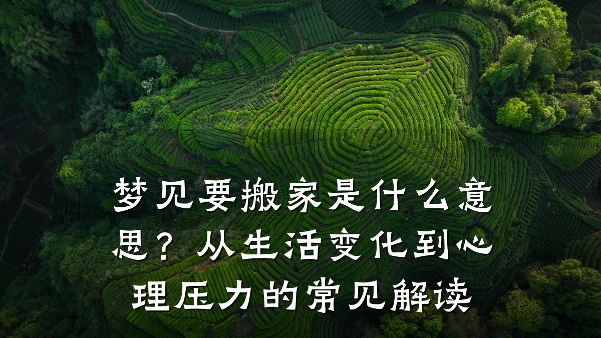 梦见要搬家是什么意思？从生活变化到心理压力的常见解读