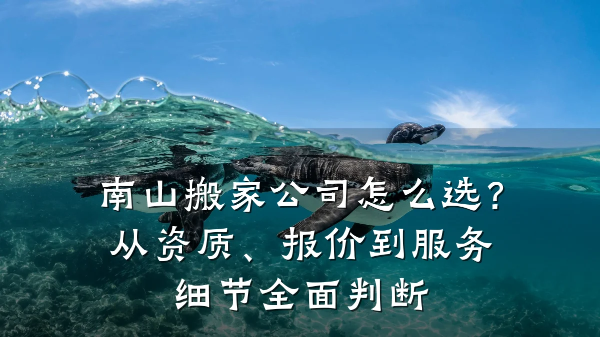 南山搬家公司怎么选?从资质、报价到服务细节全面判断