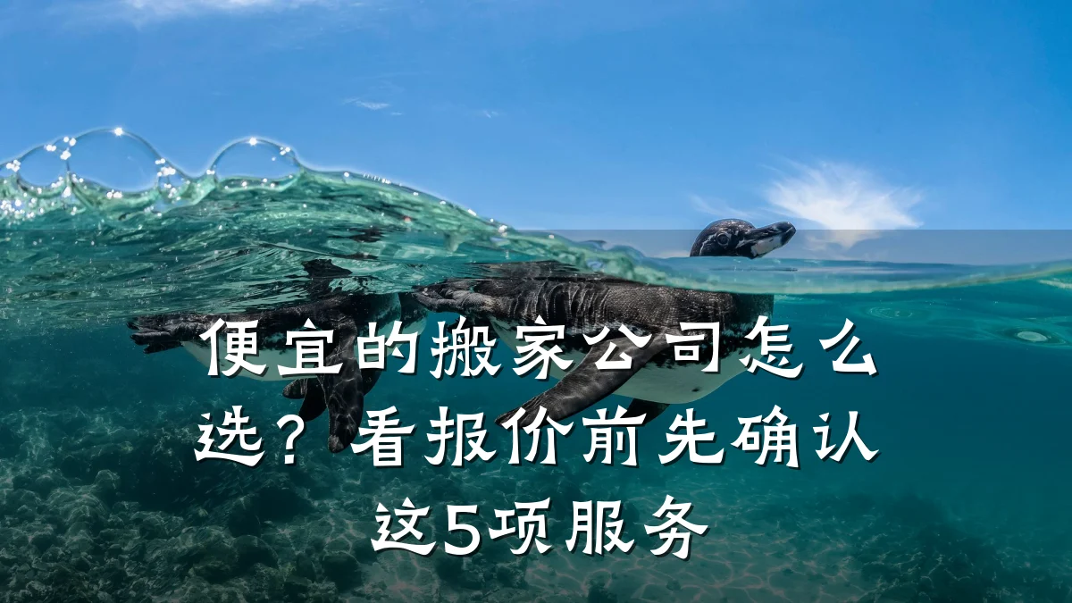 便宜的搬家公司怎么选?看报价前先确认这5项服务