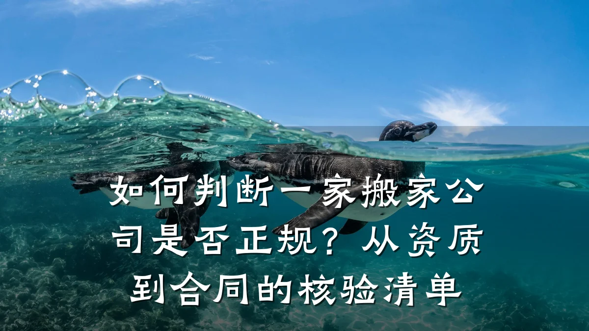 如何判断一家搬家公司是否正规？从资质到合同的核验清单