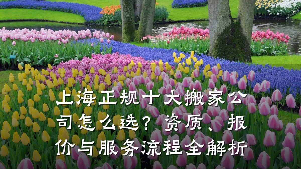 上海正规十大搬家公司怎么选?资质、报价与服务流程全解析