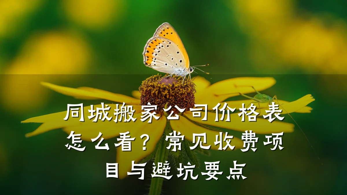 同城搬家公司价格表怎么看？常见收费项目与避坑要点