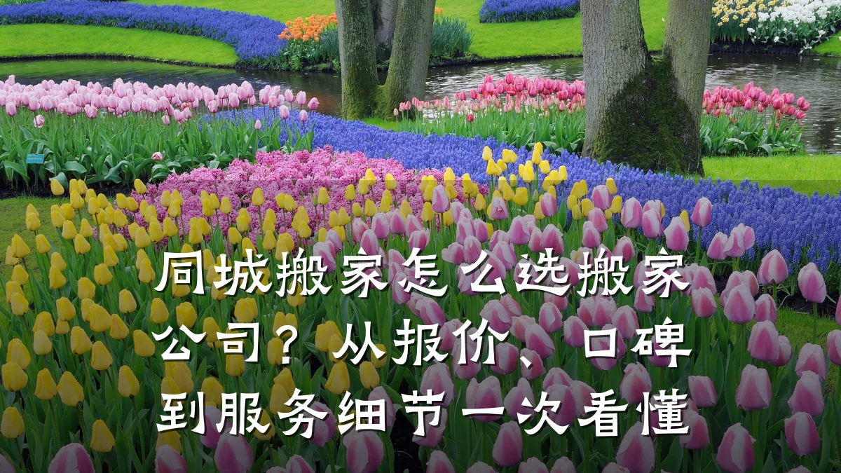 同城搬家怎么选搬家公司?从报价、口碑到服务细节一次看懂