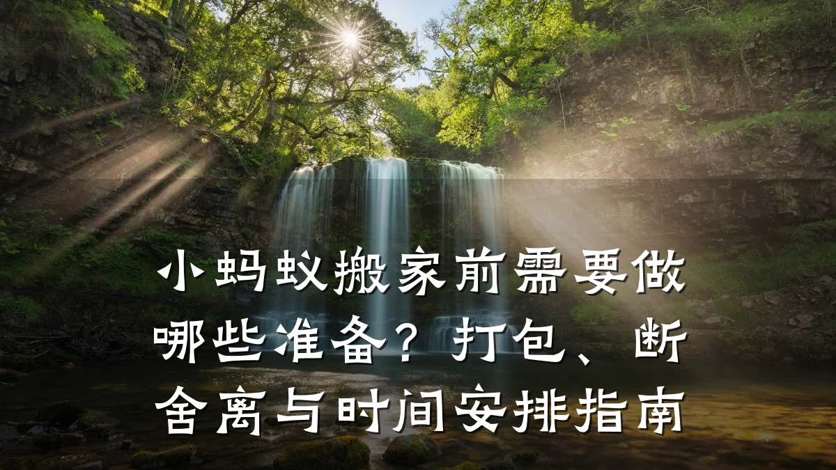 小蚂蚁搬家前需要做哪些准备？打包、断舍离与时间安排指南