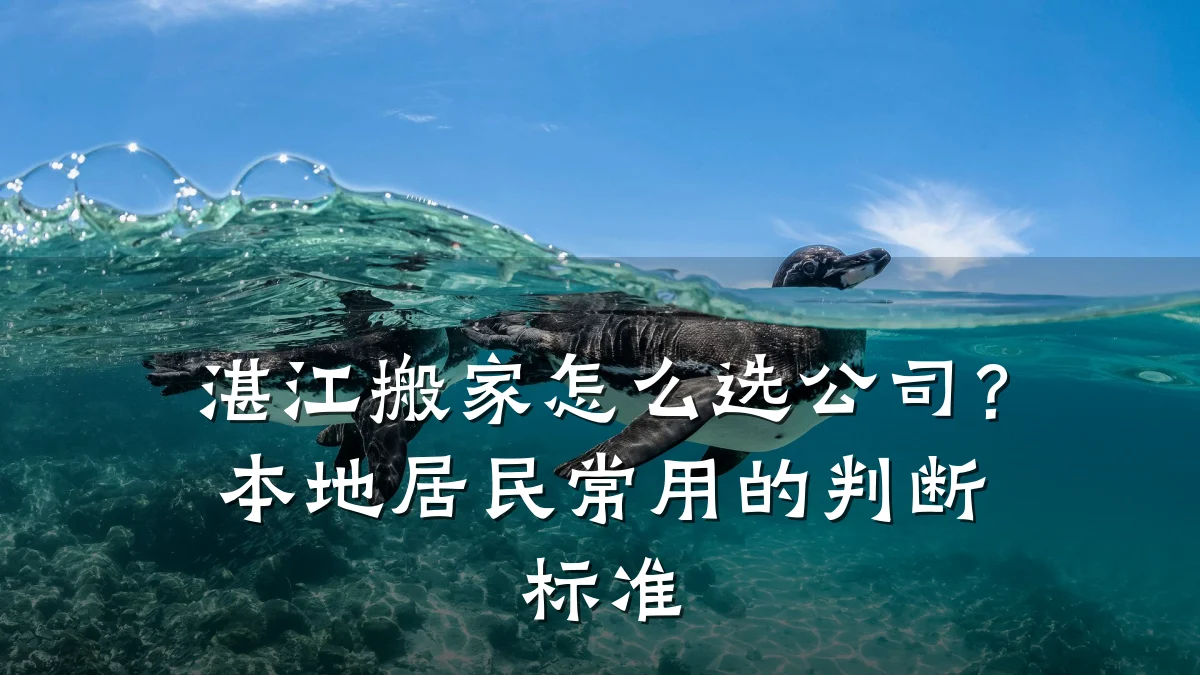湛江搬家怎么选公司?本地居民常用的判断标准