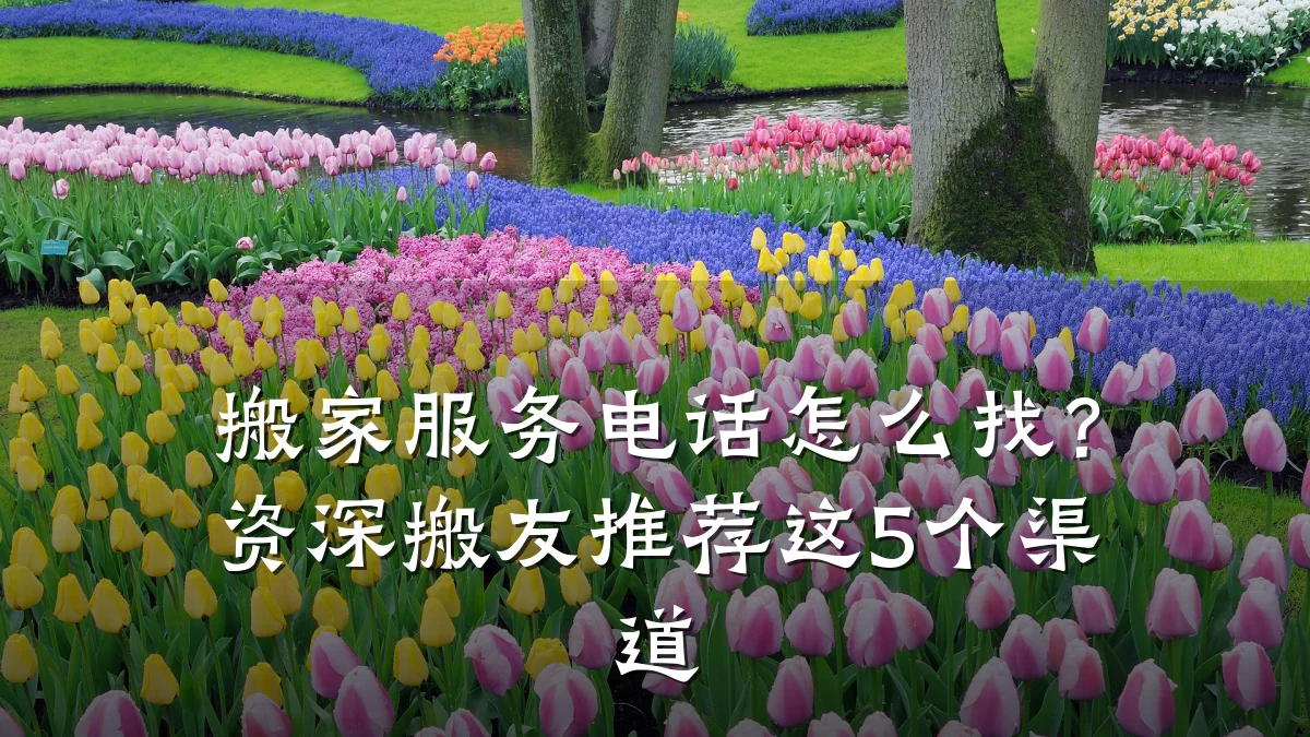搬家服务电话怎么找?资深搬友推荐这5个渠道