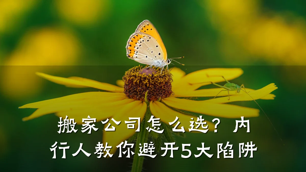搬家公司怎么选？内行人教你避开5大陷阱
