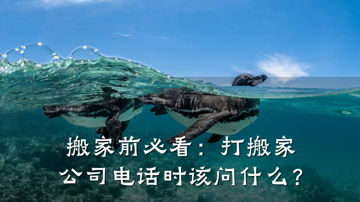 搬家前必看:打搬家公司电话时该问什么?