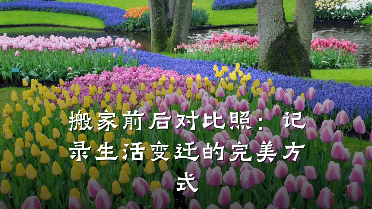 搬家前后对比照:记录生活变迁的完美方式