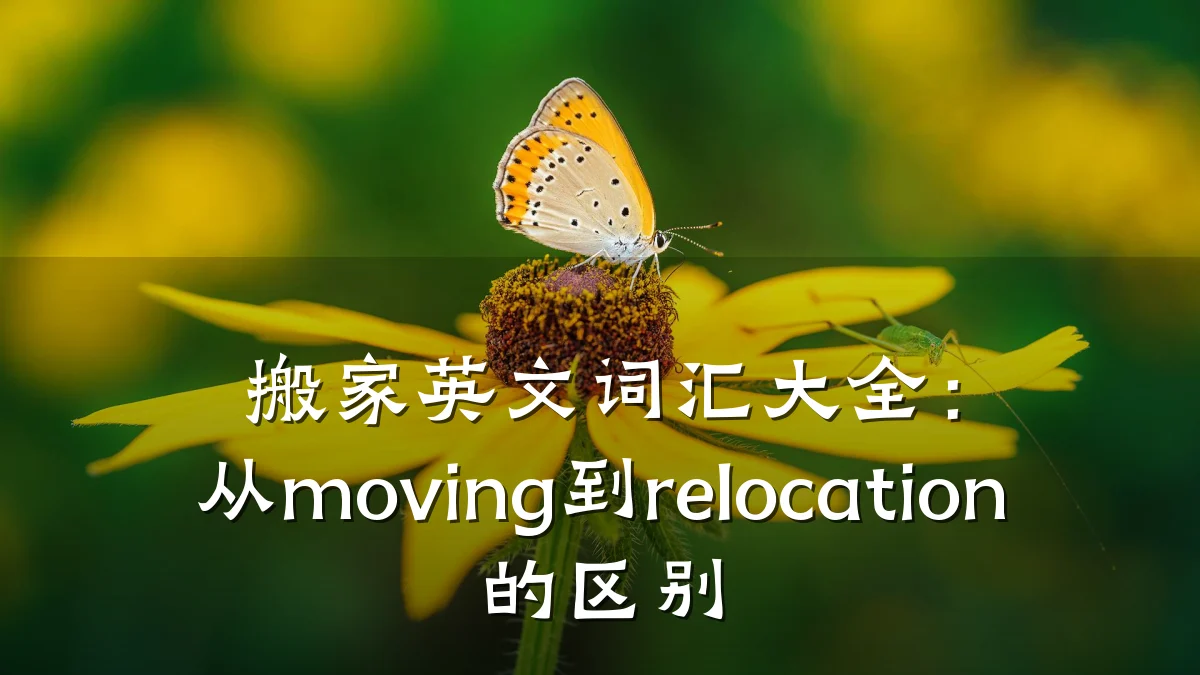 搬家英文词汇大全：从moving到relocation的区别