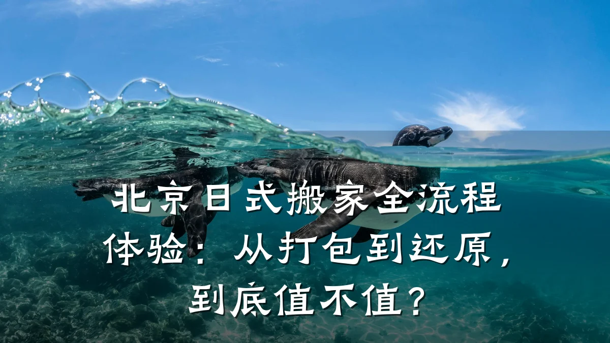 北京日式搬家全流程体验：从打包到还原，到底值不值？