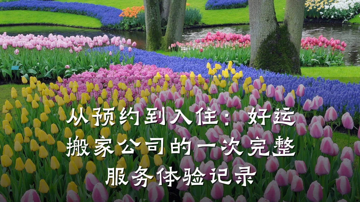 从预约到入住:好运搬家公司的一次完整服务体验记录