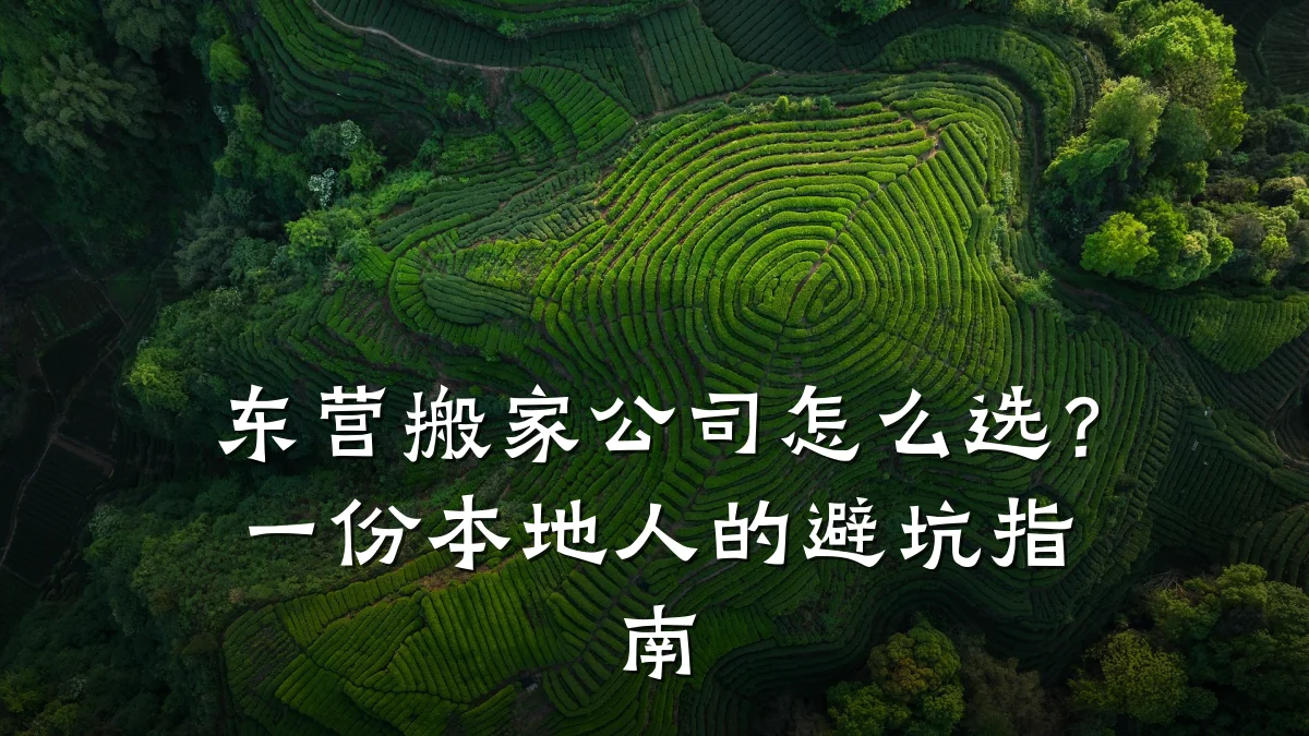 东营搬家公司怎么选?一份本地人的避坑指南
