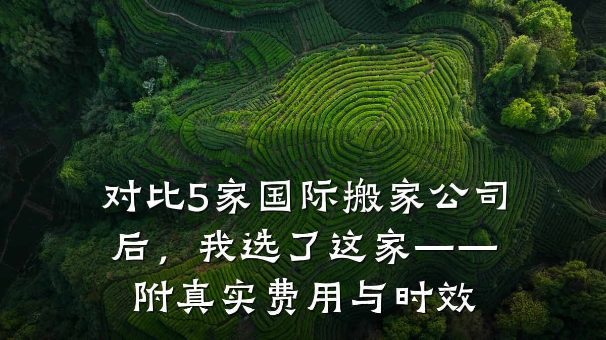 对比5家国际搬家公司后,我选了这家——附真实费用与时效