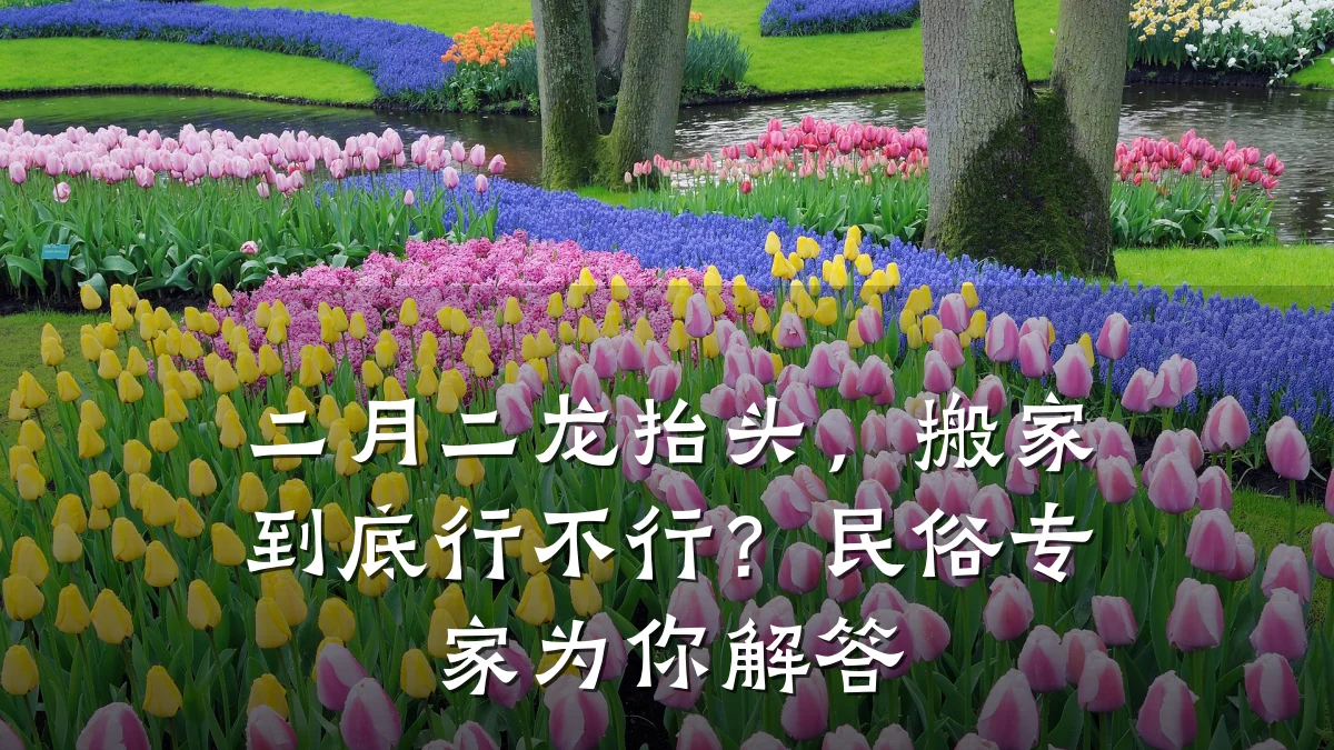 二月二龙抬头,搬家到底行不行?民俗专家为你解答