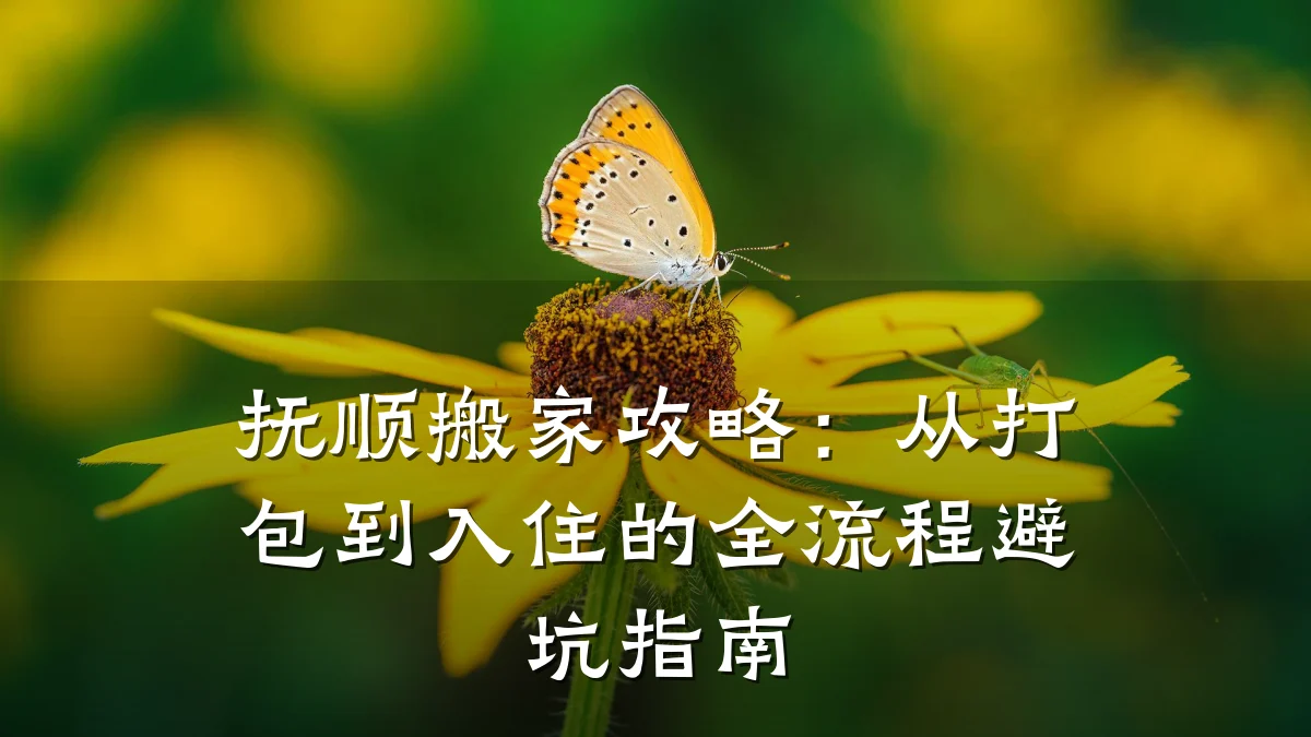 抚顺搬家攻略:从打包到入住的全流程避坑指南