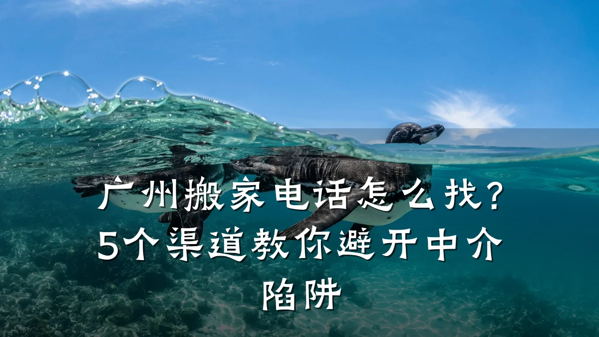 广州搬家电话怎么找?5个渠道教你避开中介陷阱