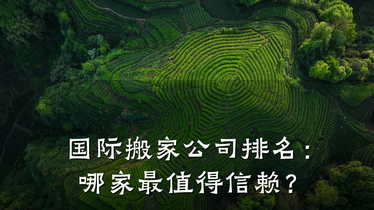 国际搬家公司排名：哪家最值得信赖？