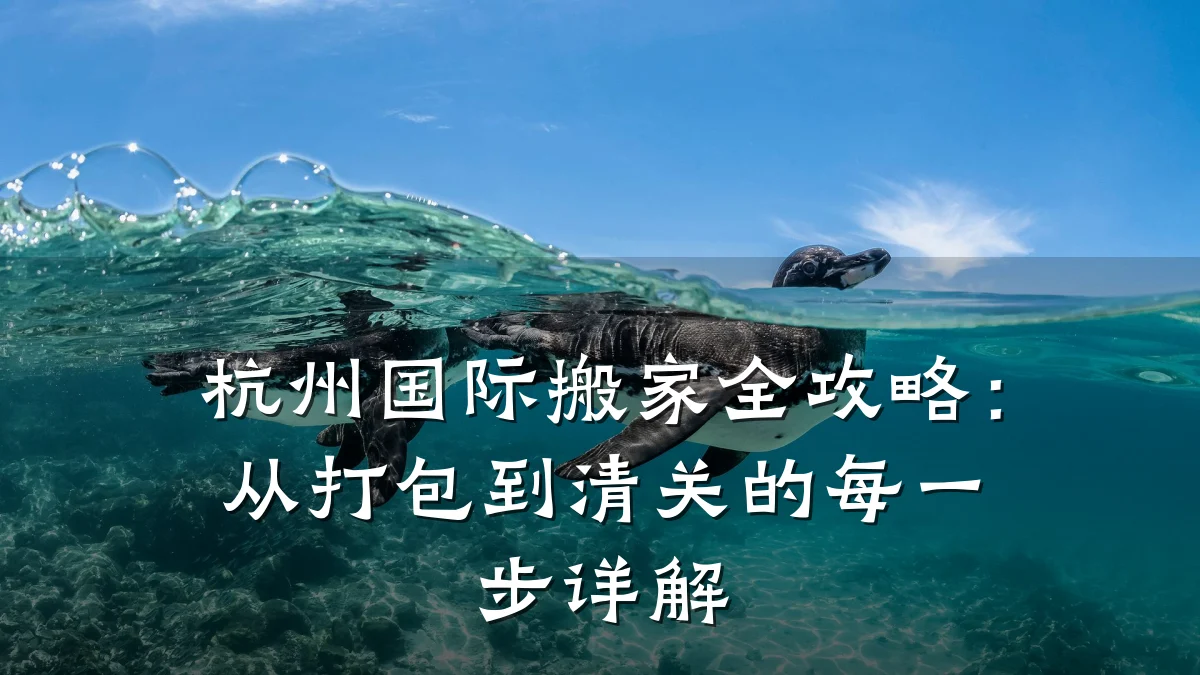 杭州国际搬家全攻略:从打包到清关的每一步详解