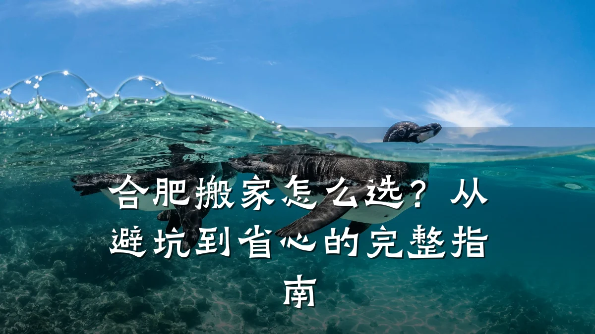 合肥搬家怎么选？从避坑到省心的完整指南