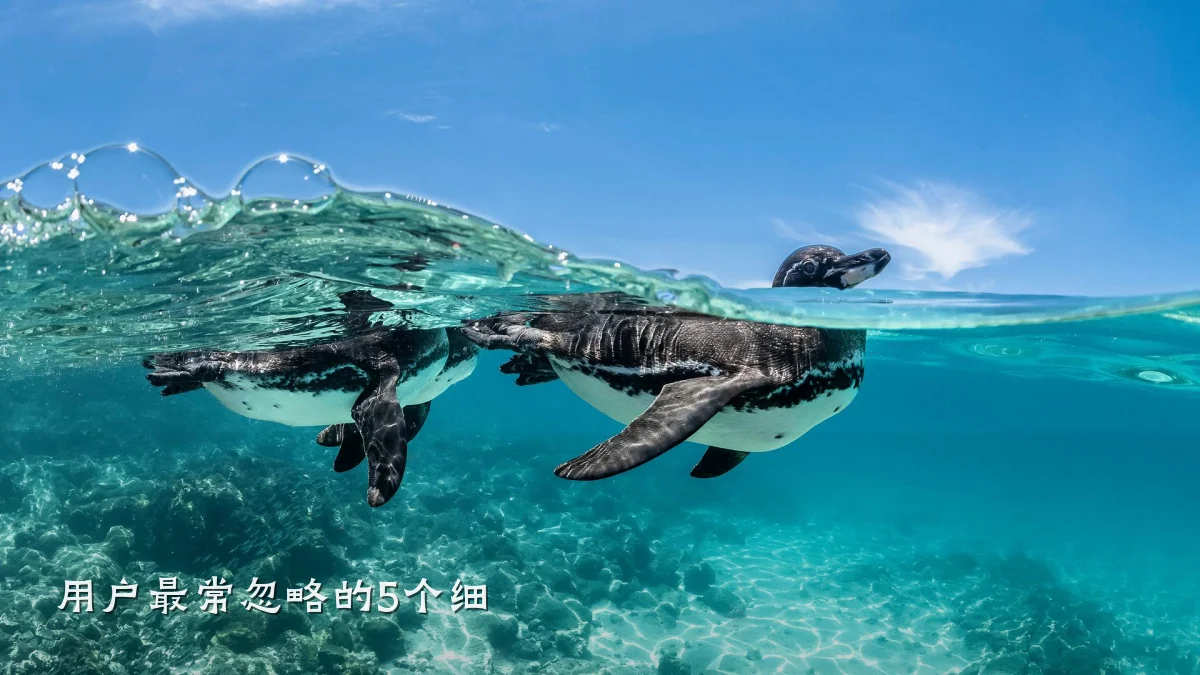 用户最常忽略的5个细