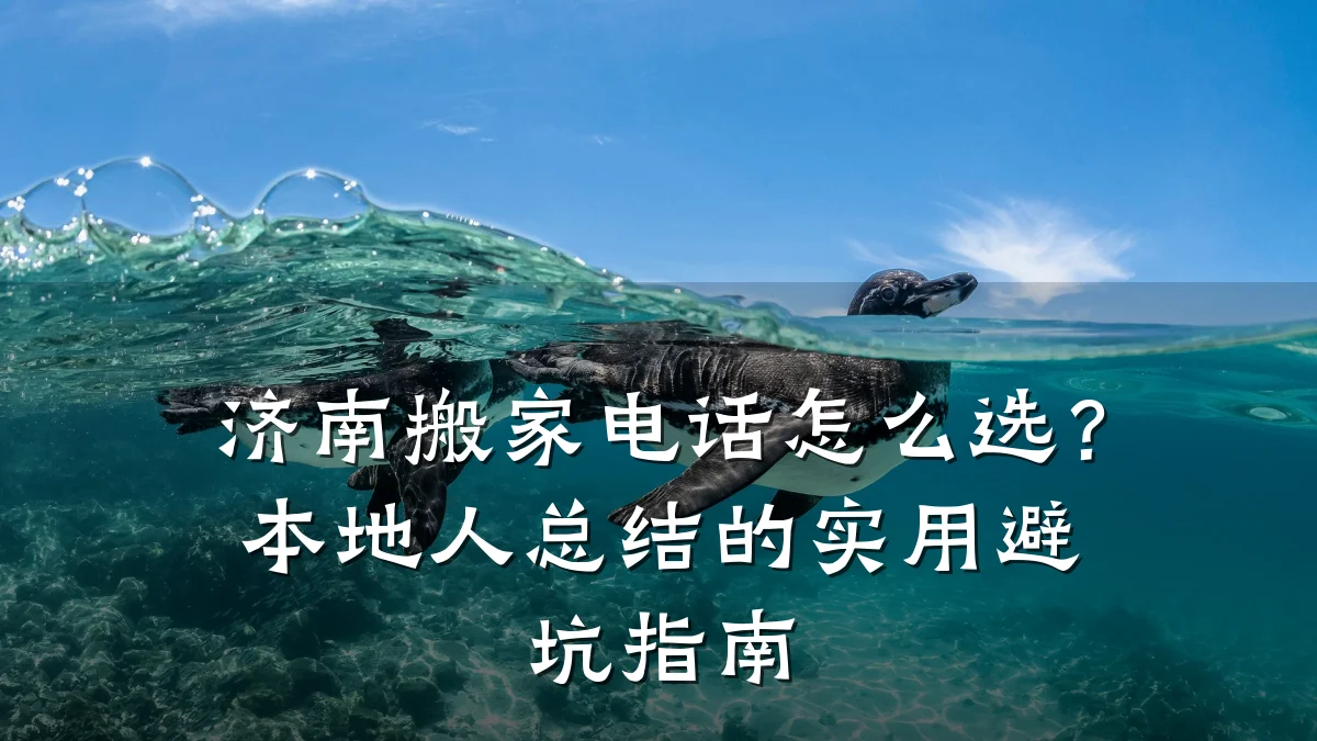 济南搬家电话怎么选?本地人总结的实用避坑指南