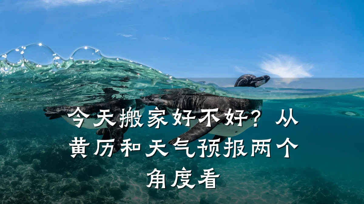 今天搬家好不好?从黄历和天气预报两个角度看