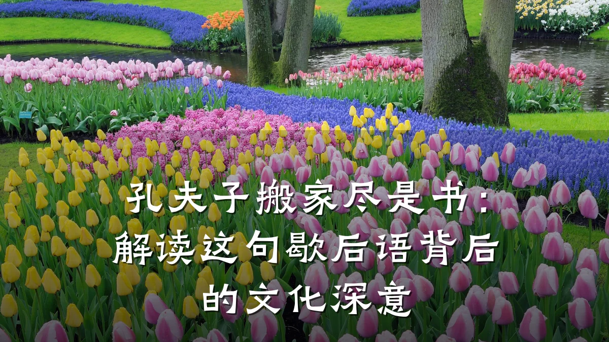 孔夫子搬家尽是书:解读这句歇后语背后的文化深意
