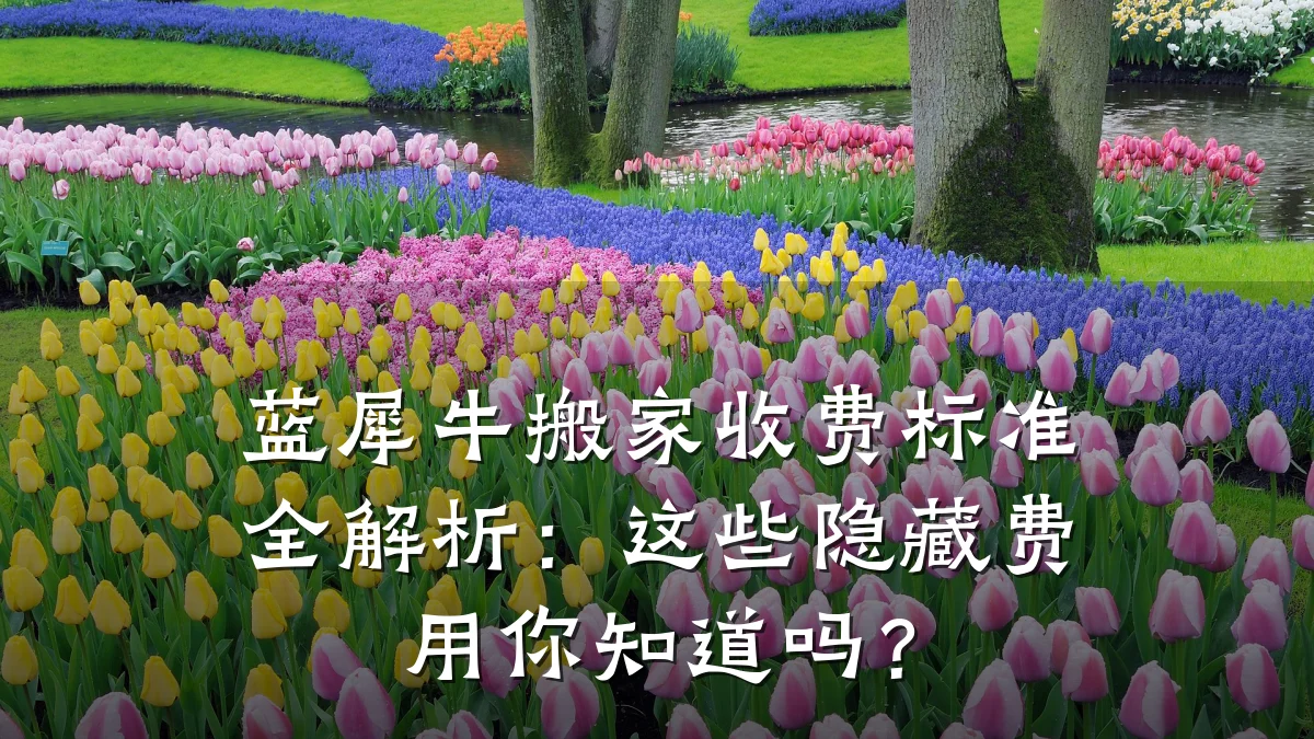 蓝犀牛搬家收费标准全解析:这些隐藏费用你知道吗?