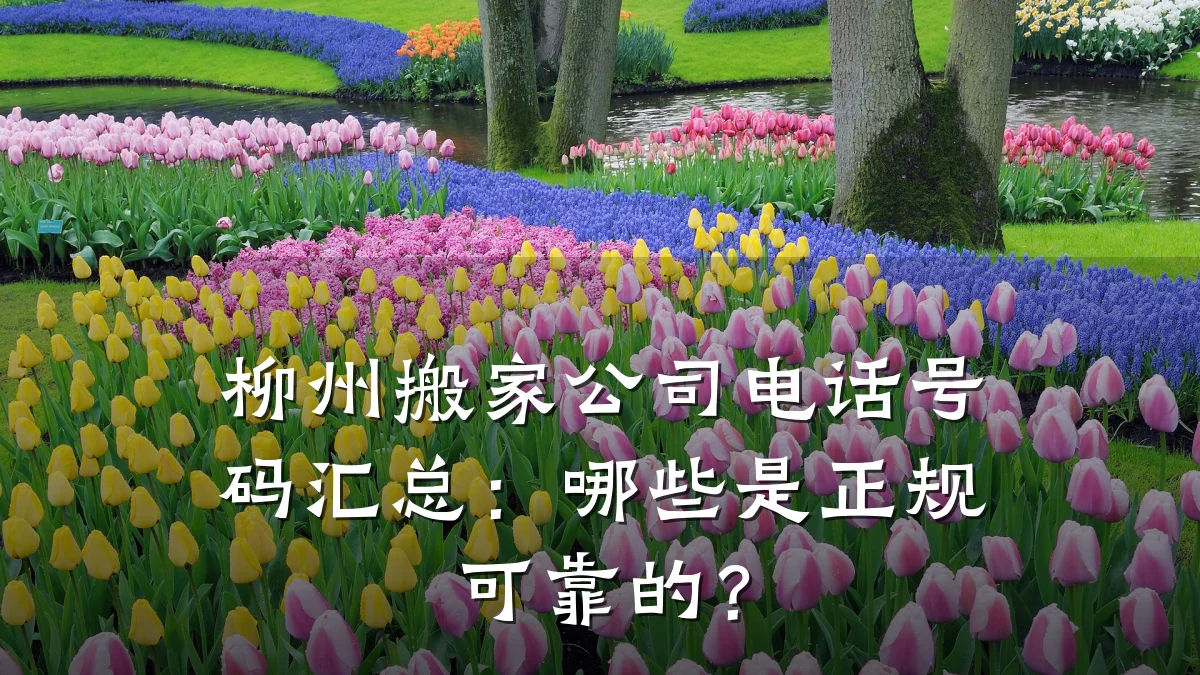 柳州搬家公司电话号码汇总:哪些是正规可靠的?