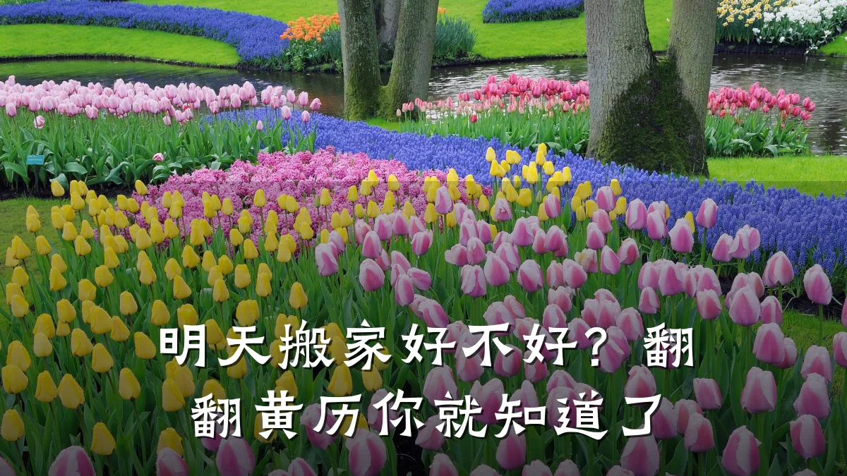 明天搬家好不好?翻翻黄历你就知道了