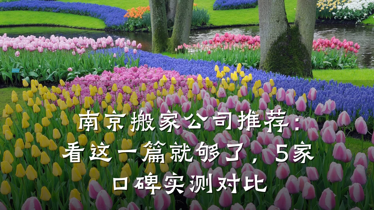 南京搬家公司推荐:看这一篇就够了,5家口碑实测对比