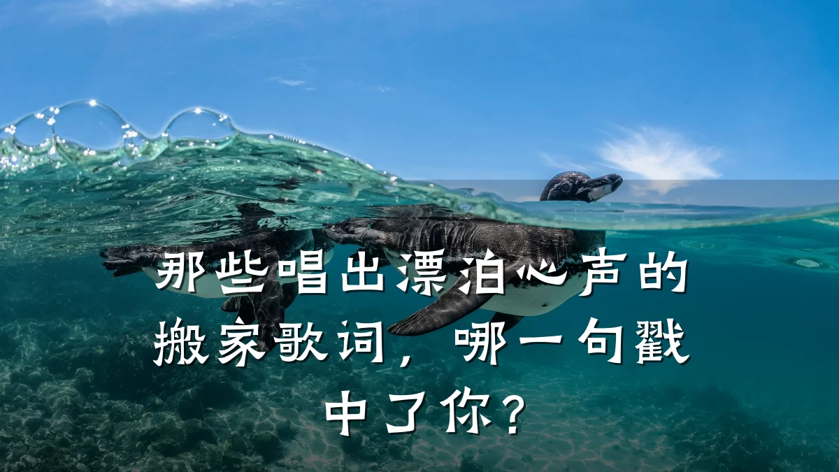 那些唱出漂泊心声的搬家歌词,哪一句戳中了你?